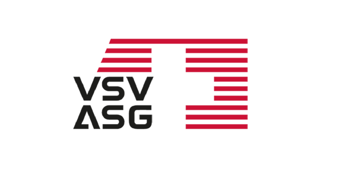 logo-vsv-asg-brand big